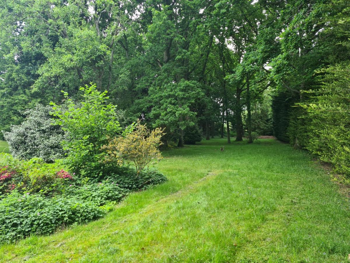 The Reading Whole Apartment With Private Lake And Gardens Eksteriør bilde