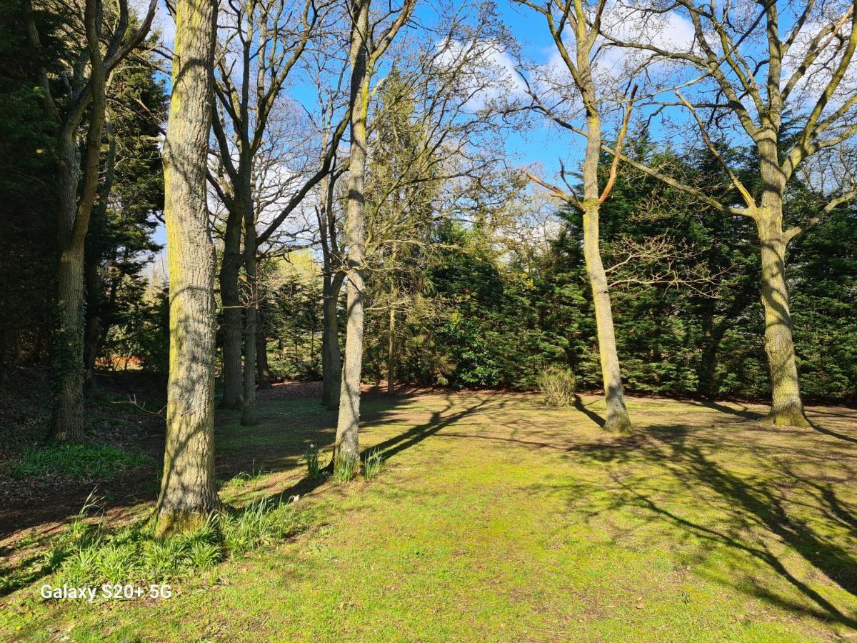 The Reading Whole Apartment With Private Lake And Gardens Eksteriør bilde